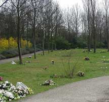 Strooiveld